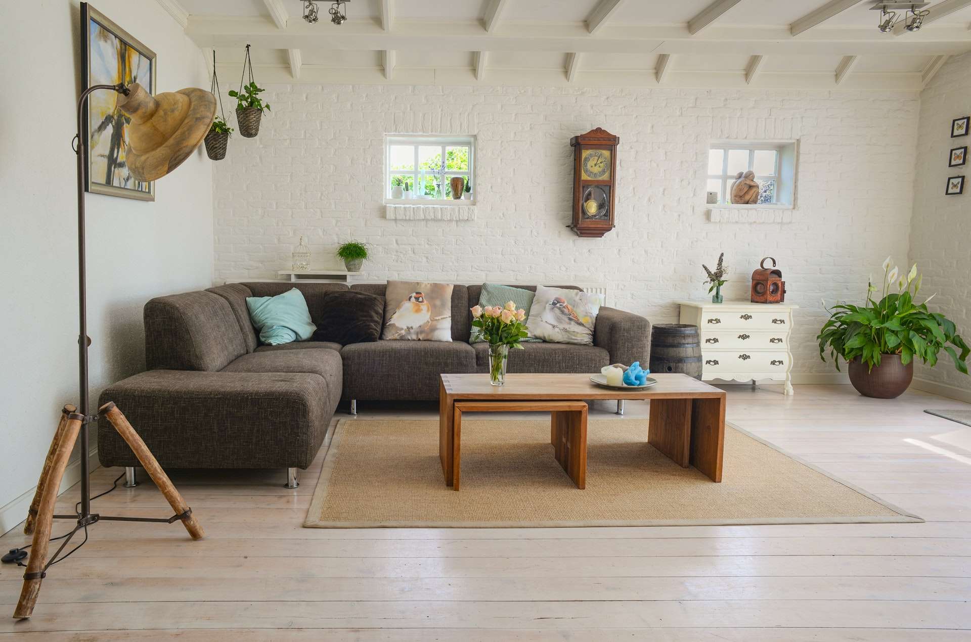 Favorite Ways To Display House Plants